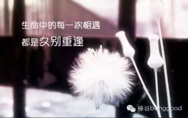 1456797058193586.jpg 1.jpg