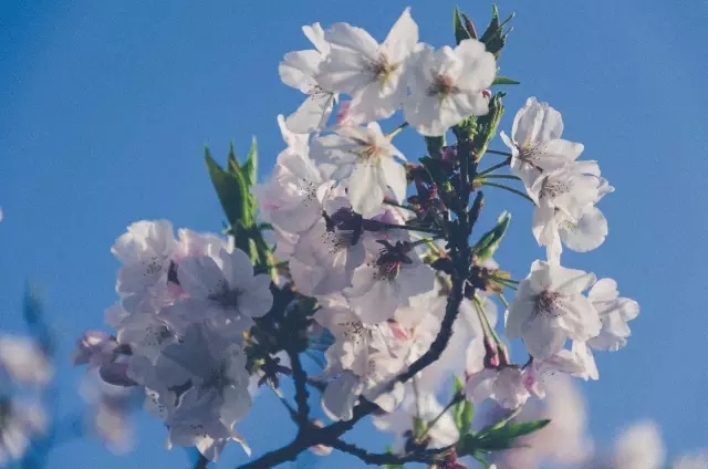 1493809629744291.jpg 640.webp (1).jpg