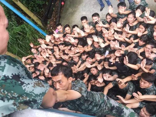 1500517156240983.jpg 640.webp (14).jpg