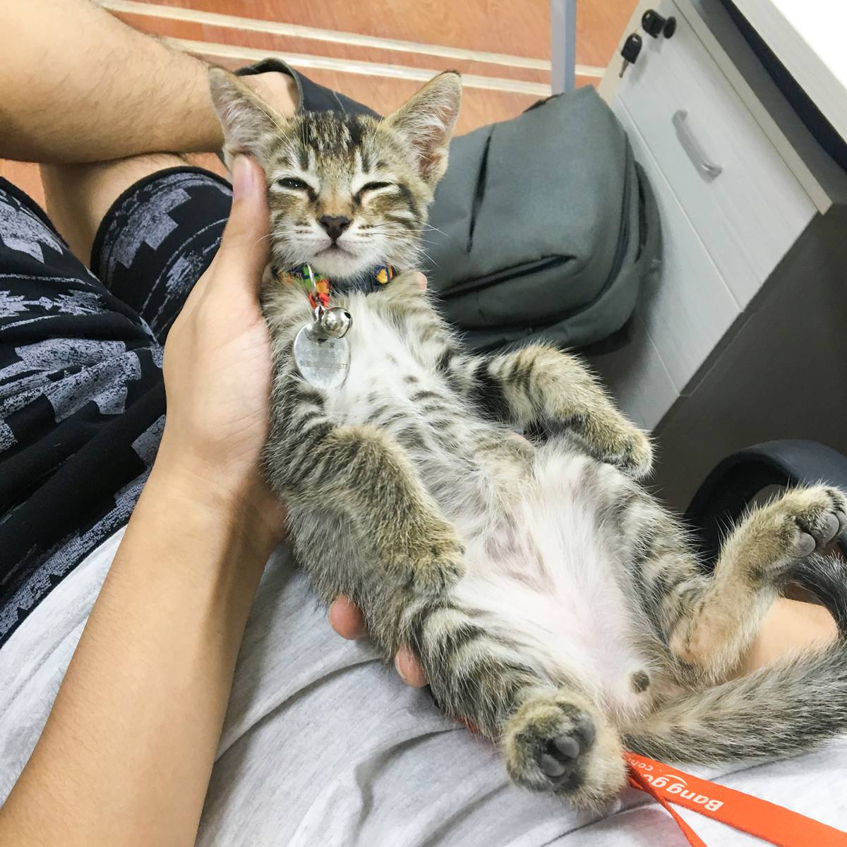 1504332169212922.jpg QQ图片20170822113038.jpg