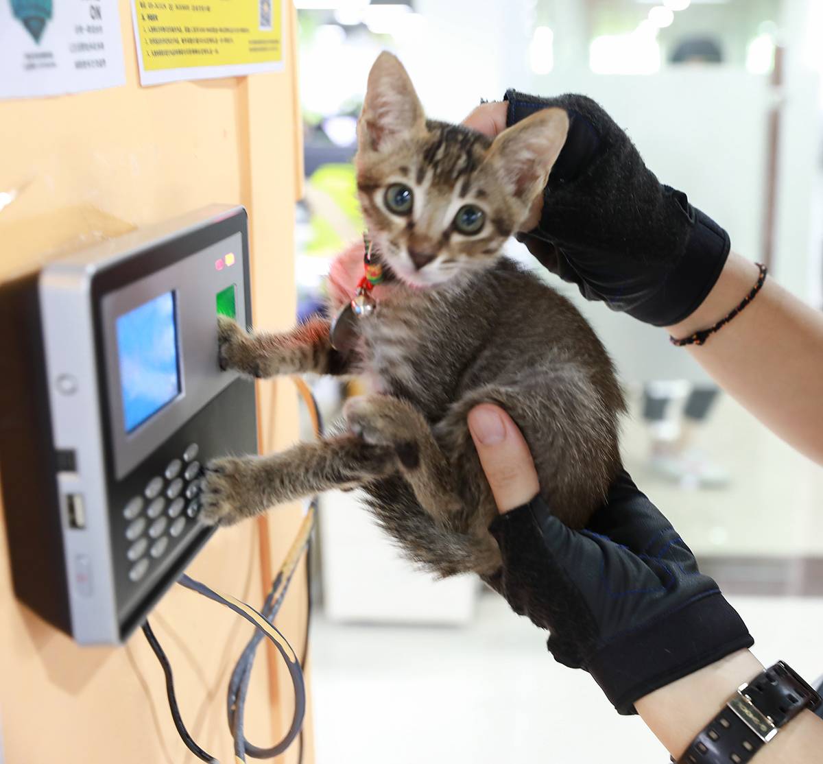 1504332245919121.jpg AV1A2541.jpg